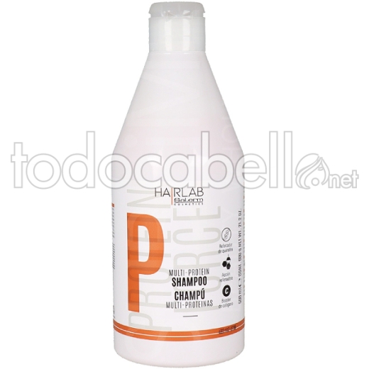 Salerm Protéines Shampooing 600ml