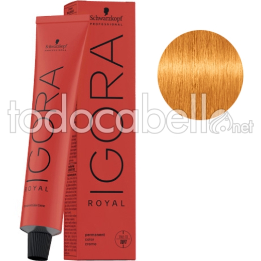 Tinte Igora Royal Tono Mezcla Dorado