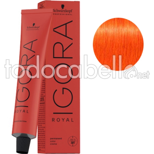 Schwarzkopf Tinte Igora Royal  Cobrizo