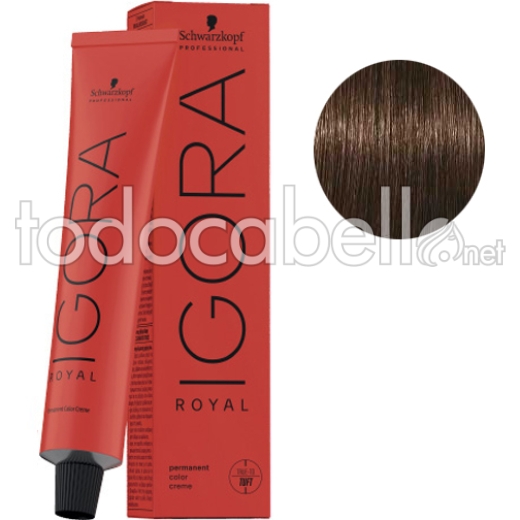 Schwarzkopf Tinte Igora Royal Castaño Claro Ceniza