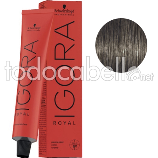 Schwarzkopf Tinte Igora Royal Cool 6-31 Rubio Oscuro Mate Ceniza 60g + Oxigenada en promoción