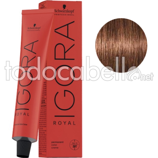 Schwarzkopf Tinte Igora Royal 6-65 Brown Dark Brown Gold 60g + Oxigenada en promoción