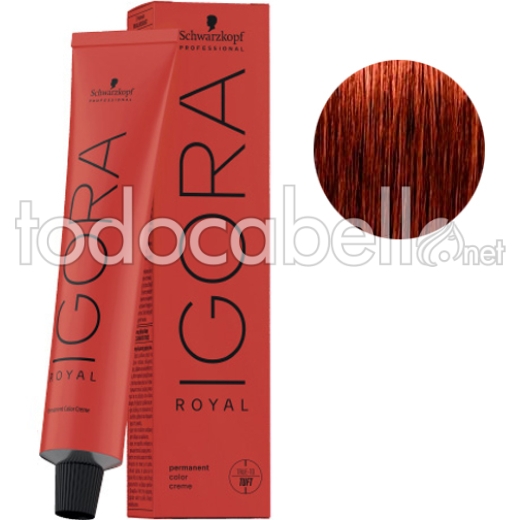 Schwarzkopf Tinte Igora Royal Rubio Oscuro Cobrizo Intenso