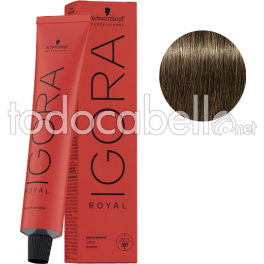 Schwarzkopf Tinte Igora Royal Rubio Medio Beige