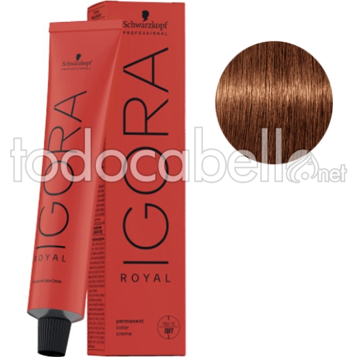 Schwarzkopf Tint Igora Royal 7-76 Blond Moyen Brun Cuivré + Oxygenated