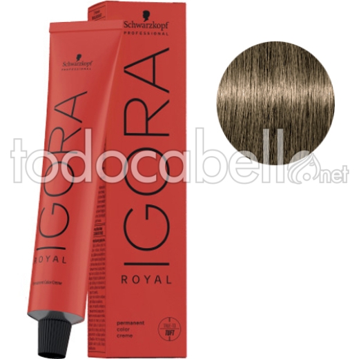 Schwarzkopf Tinte Igora Royal  Rubio Claro Intenso