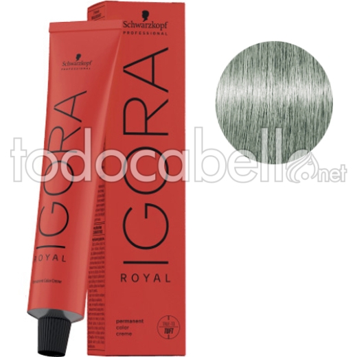 Schwarzkopf Tint Igora Royal 9.5-31 Toner Pastel Menthe + Oxygenated