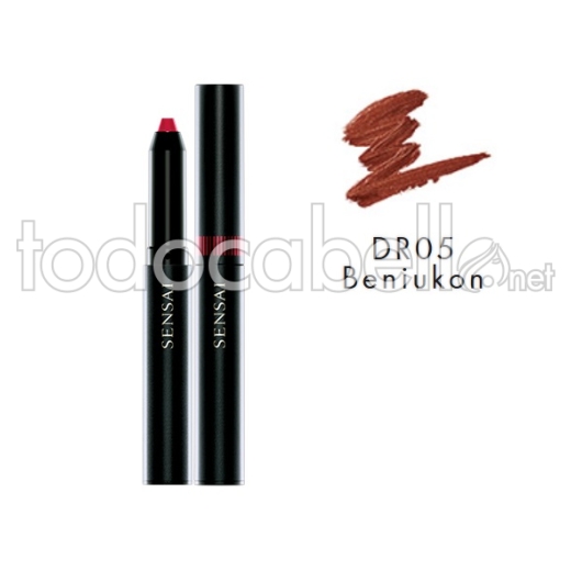 Kanebo Sensai Silky Conception Rouge DR05