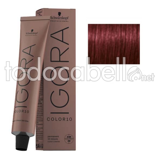 Schwarzkopf Tinte Igora COLOR10 Castaño Medio Rojo Intenso