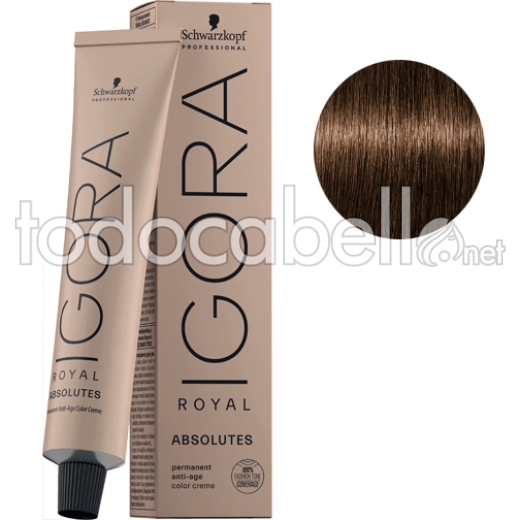 Schwarzkopf Tinte Igora Royal Absolutes Castaño Claro Dorado Natural