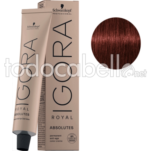 Schwarzkopf Tinte Igora Royal Absolutes Rubio Oscuro Rojo Natural