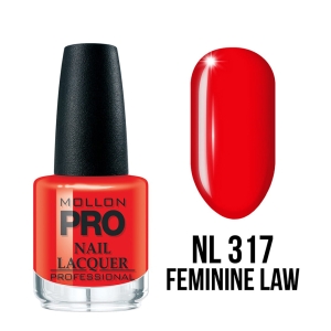 Mollon Pro Hardening Nail Lacquer Color 317 15ml