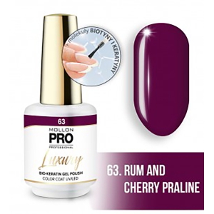 Mollon Pro Luxury Color Coat 63 8ml